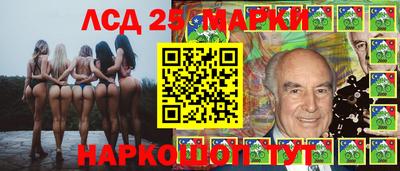 крисы Новодвинск