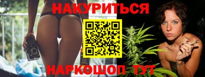 крисы Новодвинск