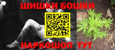 индика Обнинск