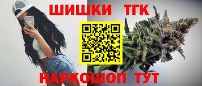 крисы Новодвинск