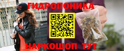 крисы Новодвинск
