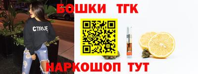 крисы Новодвинск
