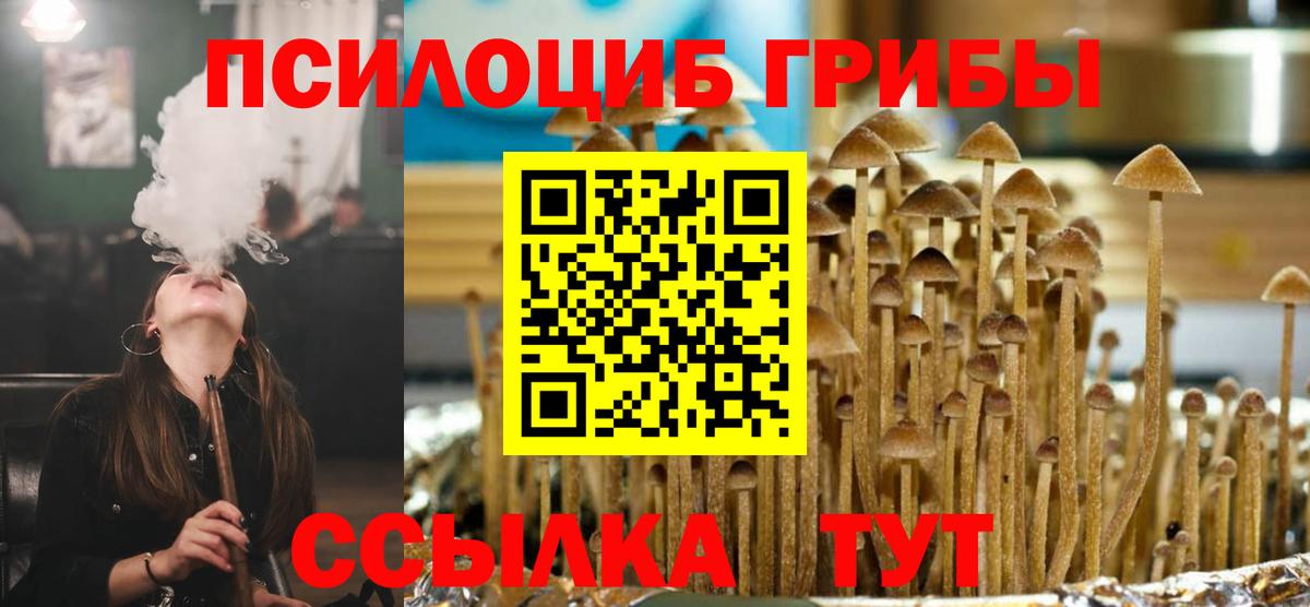 Псилоцибиновые грибы MAGIC MUSHROOMS  Вход с VPN  Славгород  Галлюциногенные грибы прущие грибы 