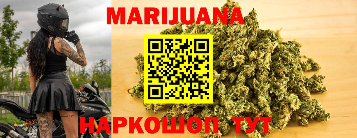 Каннабис индика Славгород